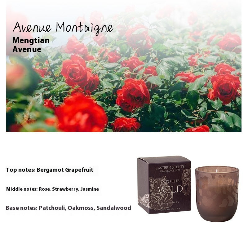 Handmade Candles Fragrance Candle Suit